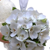 Beyaz Ortanca Gelin Çiçeği